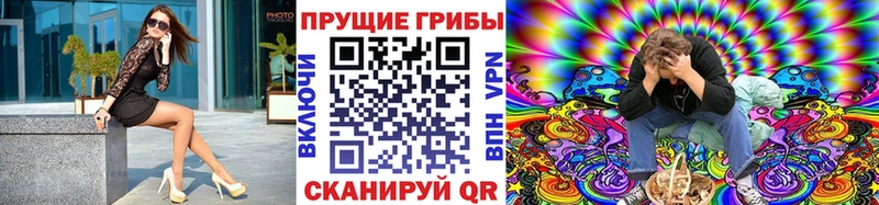 Купить где  Тотьма  Галлюциногенные грибы Psilocybe 